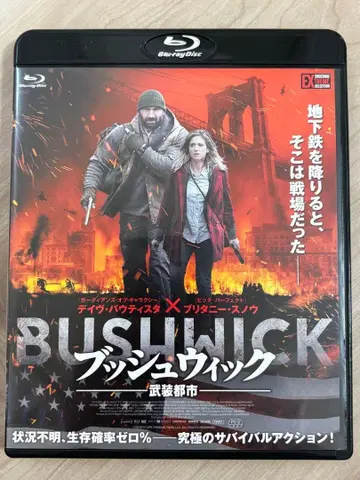 단종 부시윅 블루레이 영화 Blu-ray 서양화 영화, 블루레이
