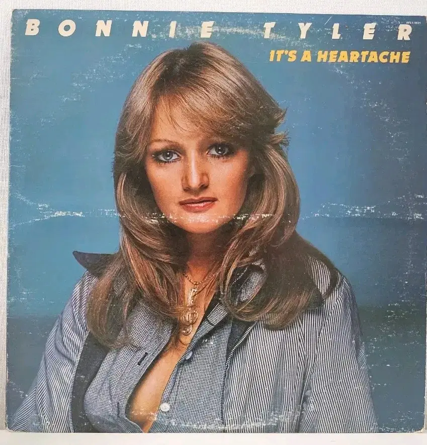 보니 타일러(Bonnie Tyler) LP