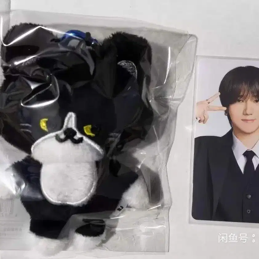 예판 슈퍼주니어 일본 인형 예성 일괄
