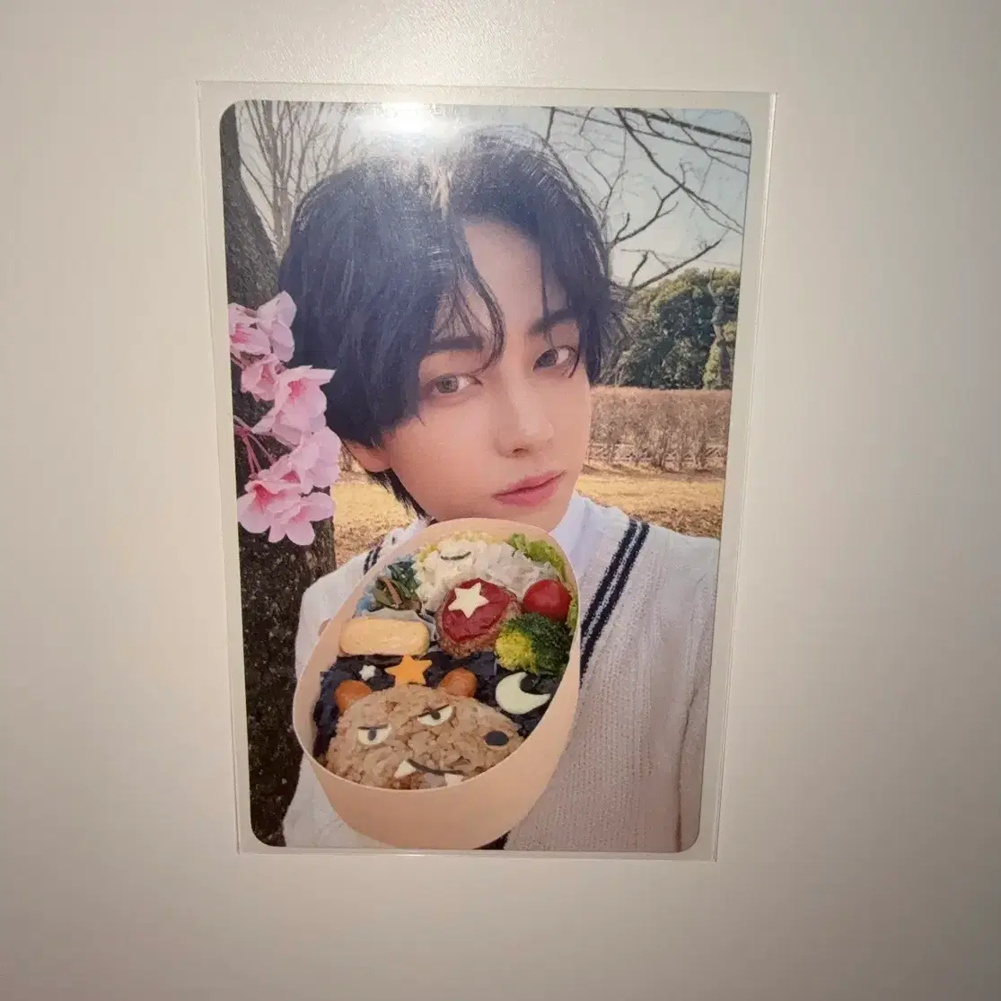 &team Go in blind yizhiyu polaroid | Bunjang Global