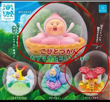 미개봉 새상품 코비토즈칸 카프리움 컬렉션 카쿠레모모지리 베니키노코비토