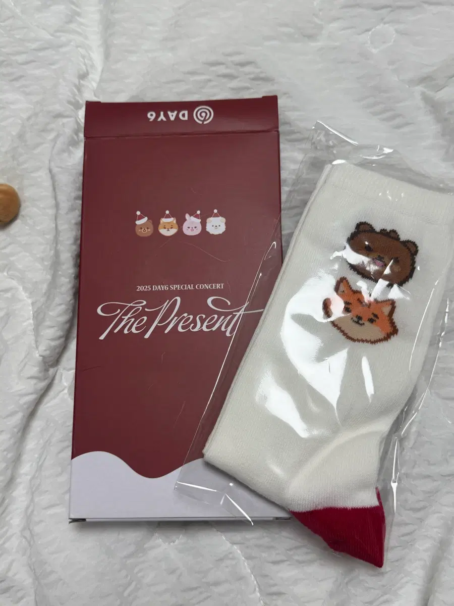 데이식스 입장키트 양말 선물콘