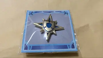 Fate FGO 별을 보는 회랑 그랜드 클래스 아이콘 핀 배지 실더
