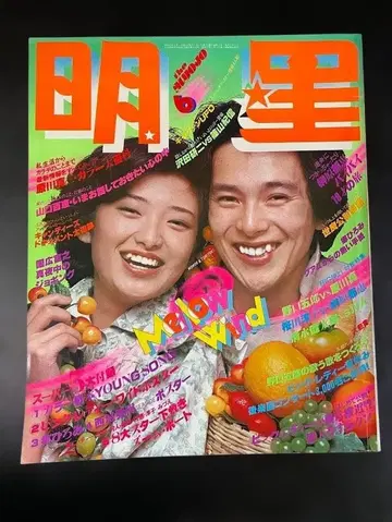 명성 쇼와 53년 (1978년) 6월호 YOUNG SONG 6월호 세트