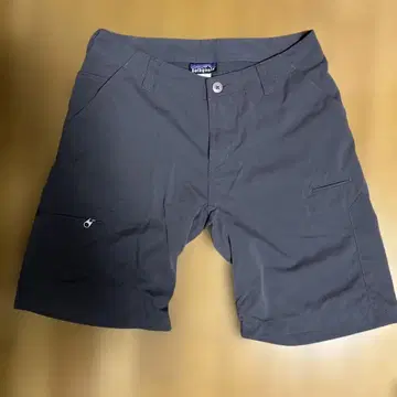 Patagonia 남성용 숏팬츠 31인치