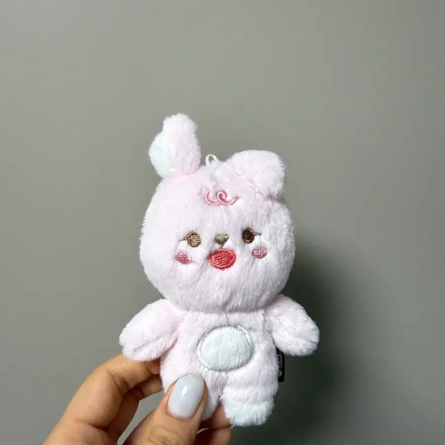 데이식스 쁘띠멀즈(필)