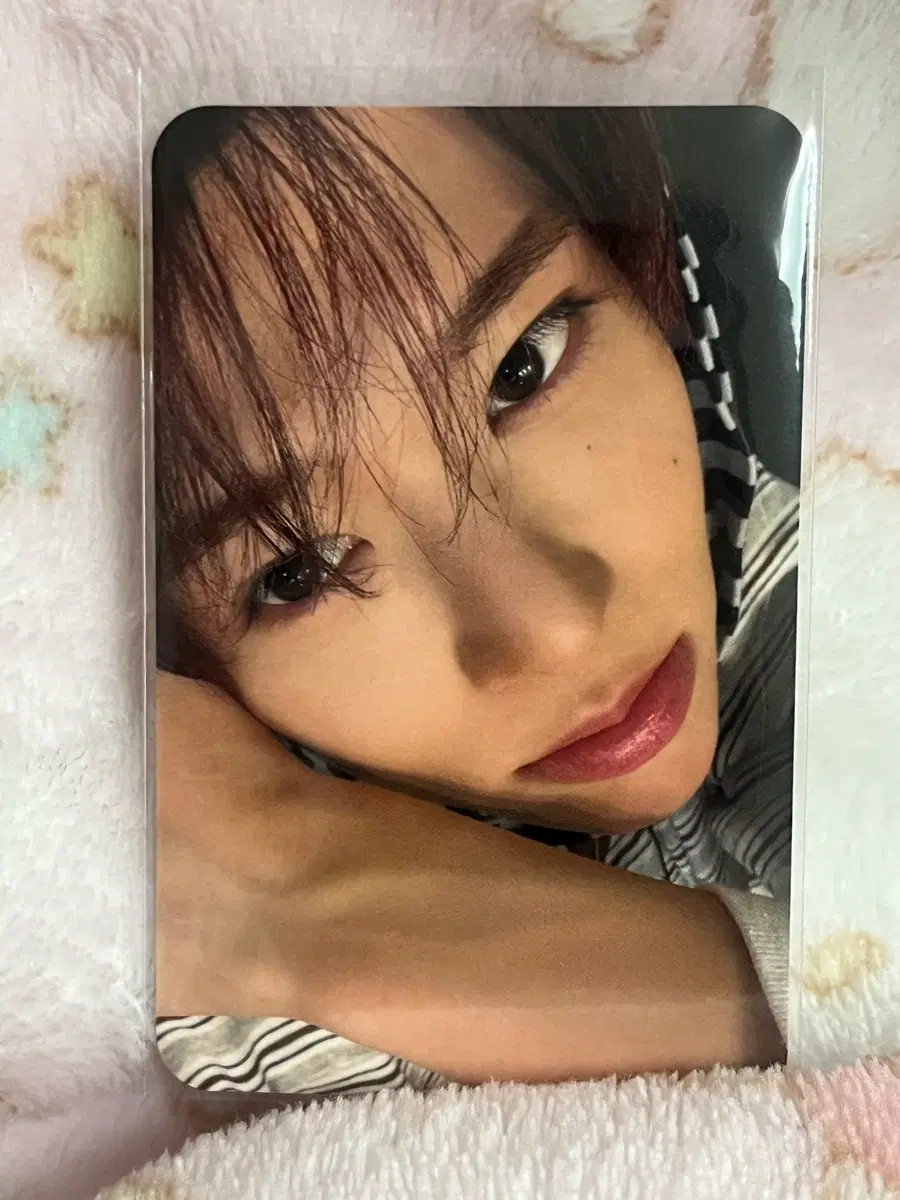 엔시티위시 요이동 시온 포카