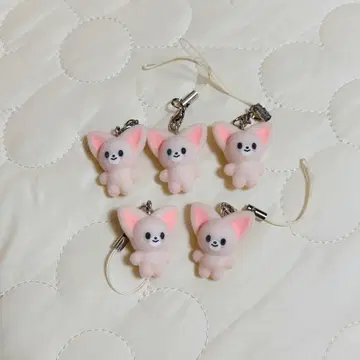 스키즈 팬미팅 미니 참 폭시니 아이엔 5개 세트