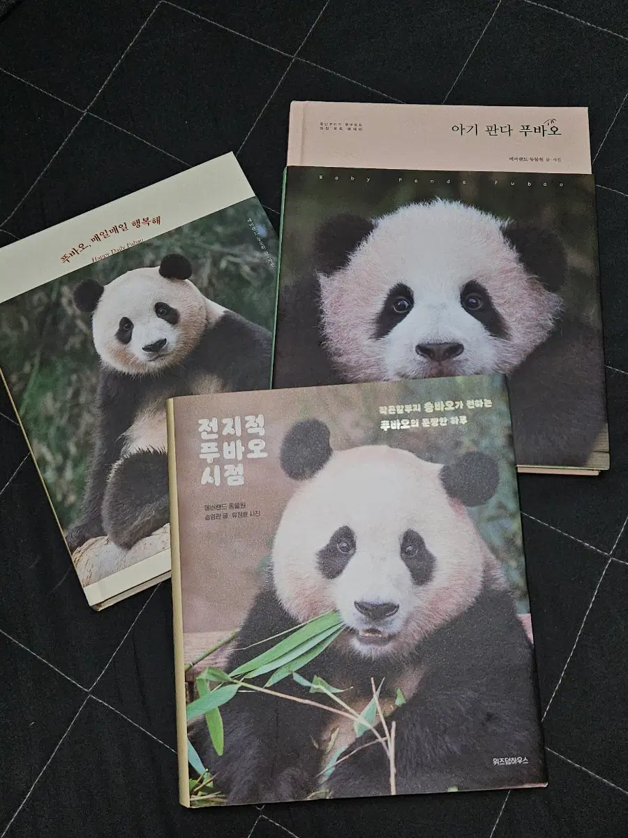 푸바오 매일매일이 행복해 / 전지적 푸바오 시점 / 아기판다 푸바오