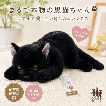 동심 일본제 검은 고양이 봉제 인형 리얼 고양이 택 포함 새상품 힐링