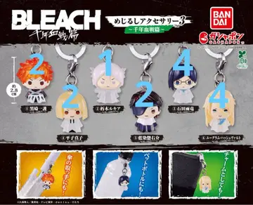 BLEACH 메지루시 액세서리