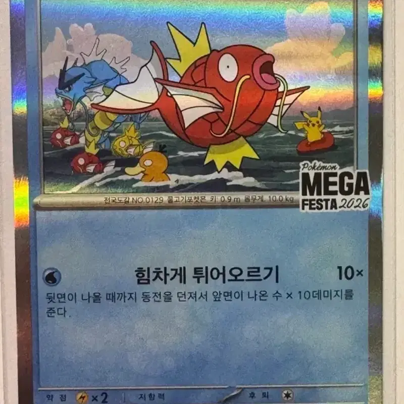 잉어킹 프로모 카드
