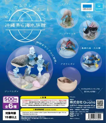 카프리움 컬렉션 오키나와 츄라우미 수족관 3종 세트