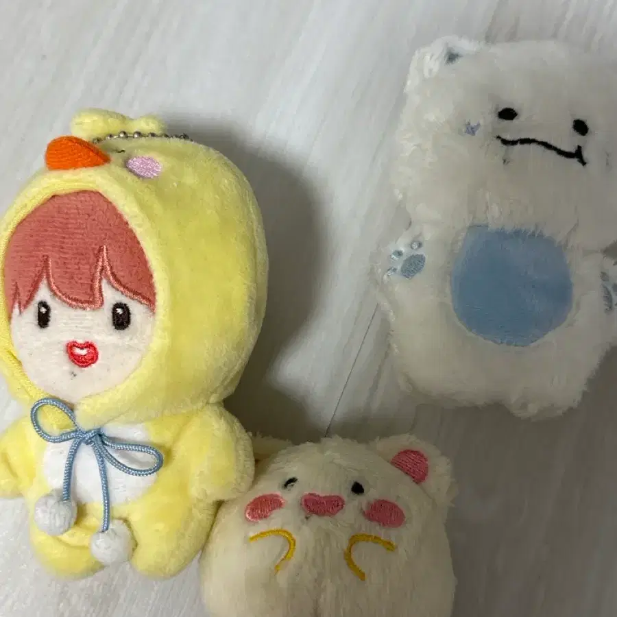엔시티드림 지성 꼼쮜 오햄찌 백찌 양도
