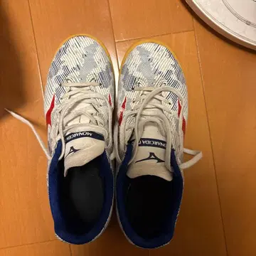 22.5cm MIZUNO MONARCIDA NEO 풋살화