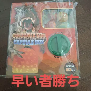 DINOSAUR EGG CAPSULE BOX 캡슐 8개입