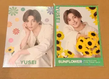 FANTASTICS 야기 유세이 SUNFLOWER 시크릿 노멀