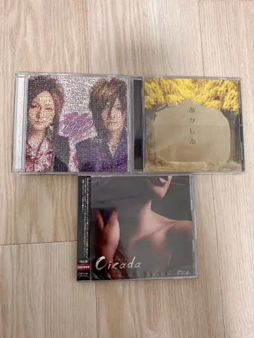 rice CD 3장 세트 Neil 아카시아 Cicada Raphael