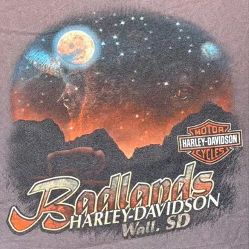 Harley-Davidson 티셔츠 양면 프린트 백 프린트