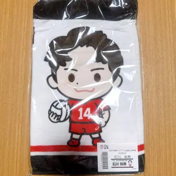 이시카와 유키 발레토모 프리미엄 회원 가입 혜택 FC 응원 타월 배구