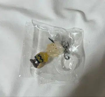 찰리 브라운 메지루시 참