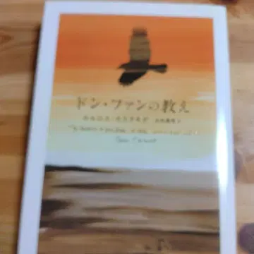 돈 팬의 가르침 카를로스 카스타네다 오타출판