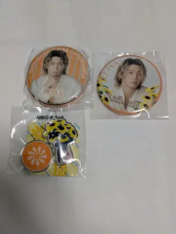 세구치 레이야 FANTASTICS 가챠 캔뱃지 핀 배지