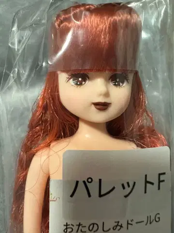 리카짱 오타노시미 인형 팔레트F 빨간 머리 브라운 계열 메이크