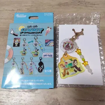 디즈니 헬로헬로 썸머 키체인 칩과 데일 시크릿
