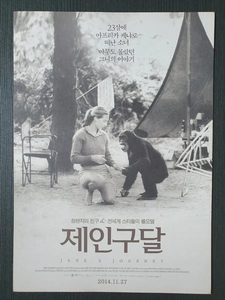 제인 구달 영화 전단지 팜플렛 A4