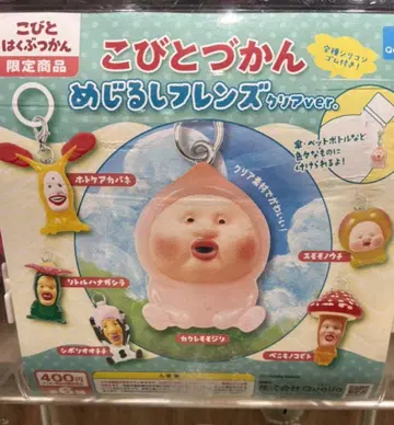코비토 박물관 한정판 코비토즈칸 메지루시 프렌즈 클리어ver.