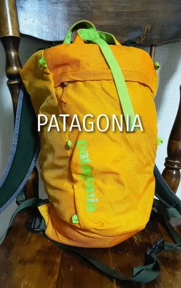 [ 파타고니아 patagonia ] 데이팩 링크드팩 단종
