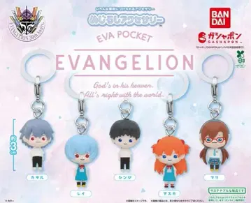 컴프 EVA POCKET 메지루시 액세서리 전 5종 세트