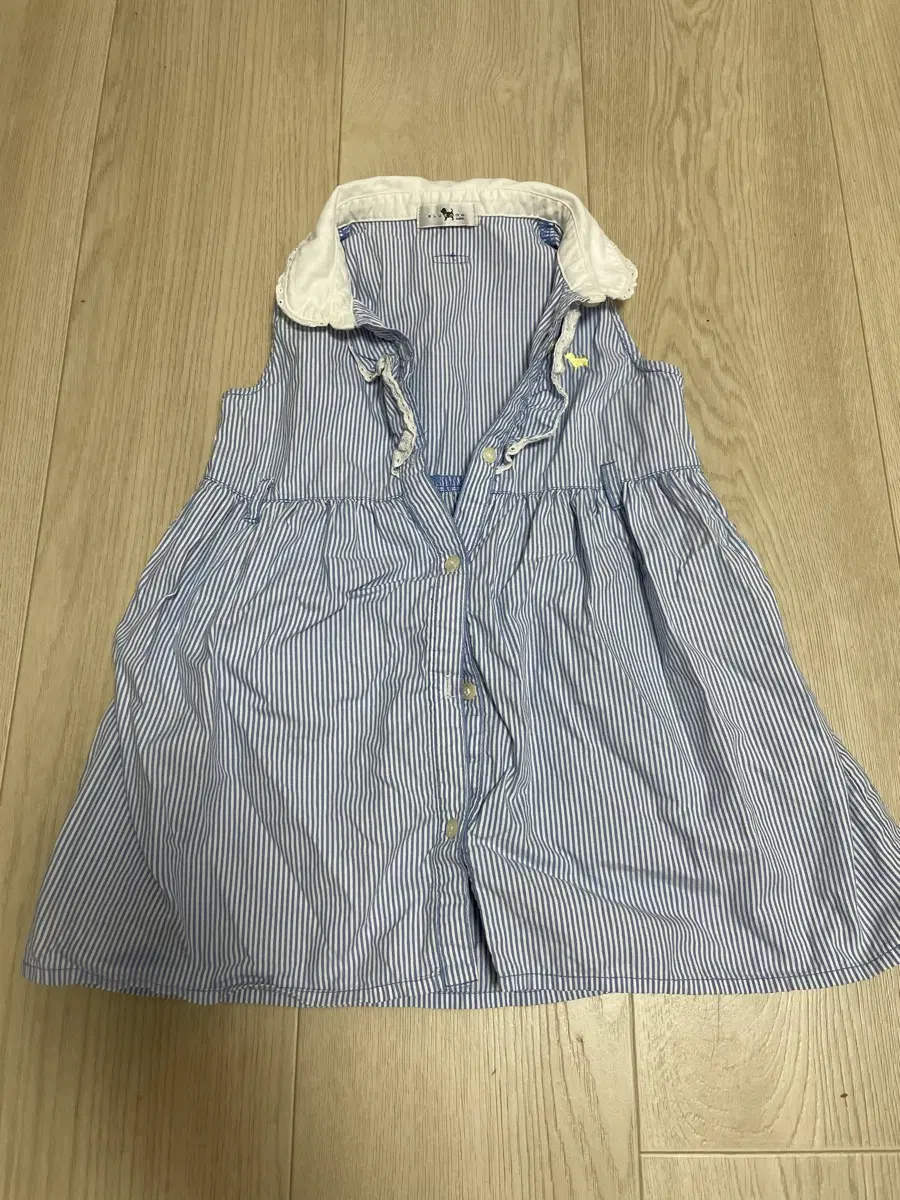 블루독100