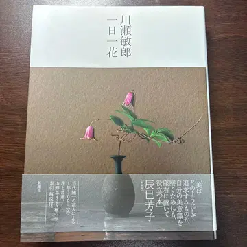 카와세 토시로 하루에 꽃 한 송이