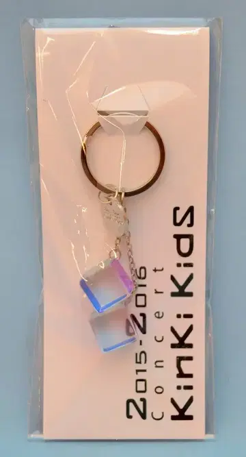 KinKi Kids 2015-2016 Concert KinKi KidS 키링
