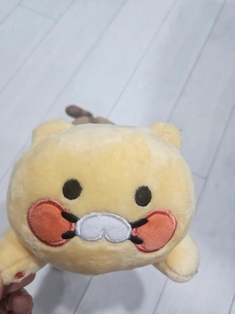 카카오프렌즈 춘식이 필통