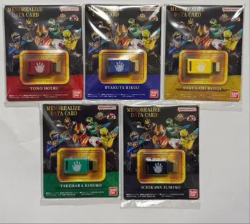 MEMOREALIZE DATA CARD 고주우 세트