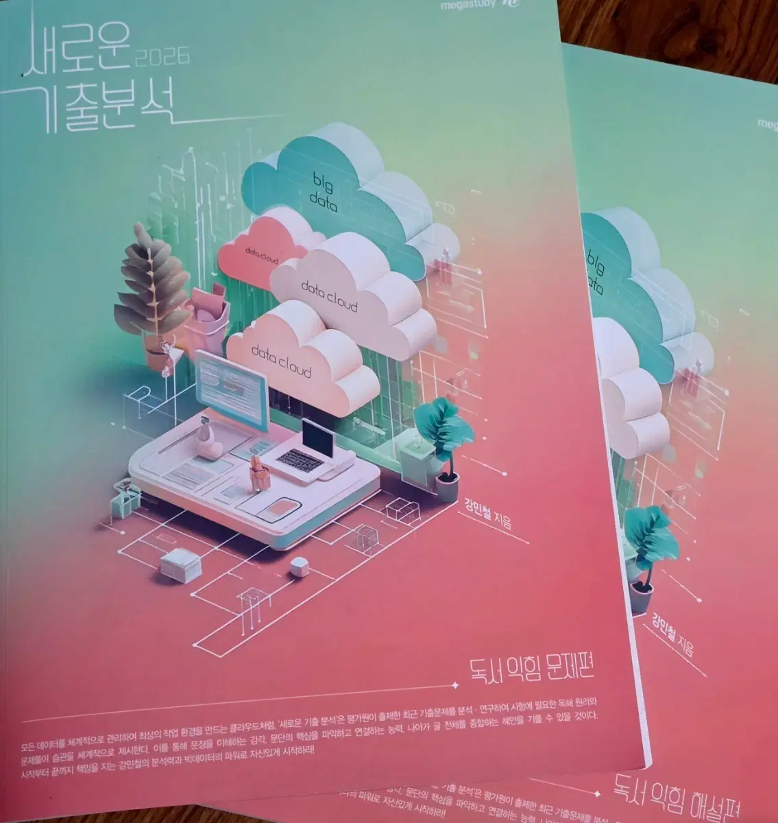 강민철 새기분 독서 문학 익힘책 급처분