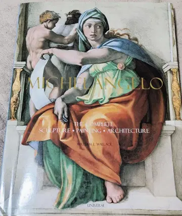 Michelangelo 미켈란젤로 작품집 아트북 외국도서