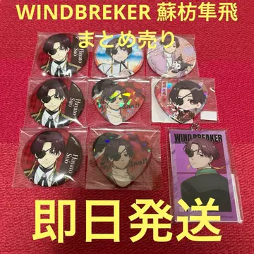 WIND BREAKER 소우비 하야토 캔뱃지 묶음 판매