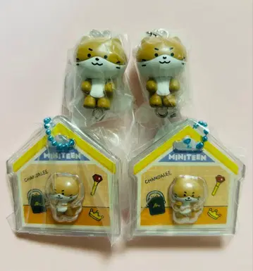 MINITEEN 디노 CHANDALEE 4세트