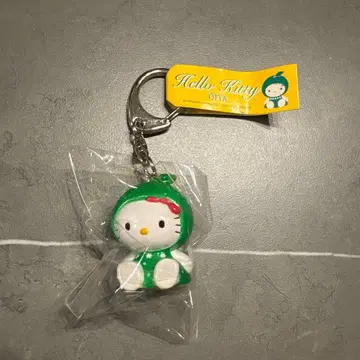 레어 미개봉 지역 한정 키티 Hello Kitty 오이타현 한정 키링
