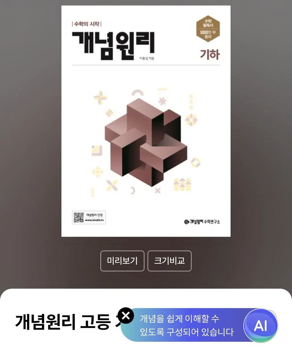 개념원리 기하