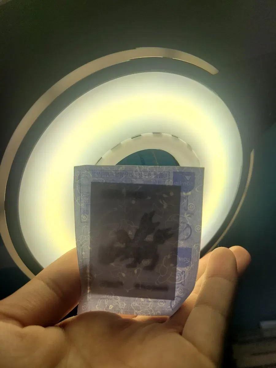 포켓몬 미개봉 큐레무 띠부실