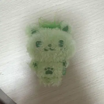 NCTWISH 시오닌 그린