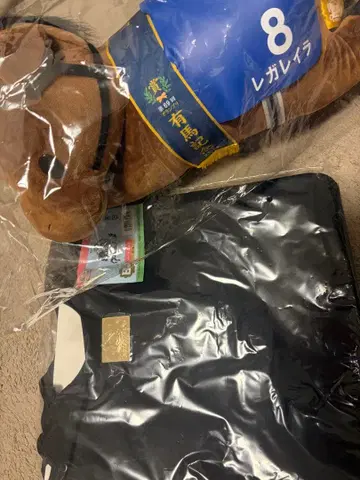 다이토 복권 경마