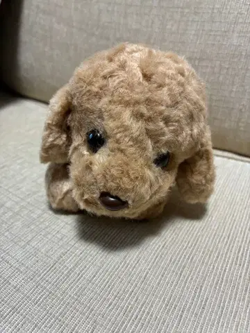 Mon seuil 모스이유 봉제 인형 강아지 베이지 퍼피 토이 푸들