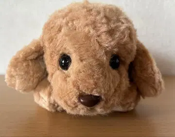 Mon seuil 모스이유 봉제 인형 강아지 베이지 퍼피 토이 푸들