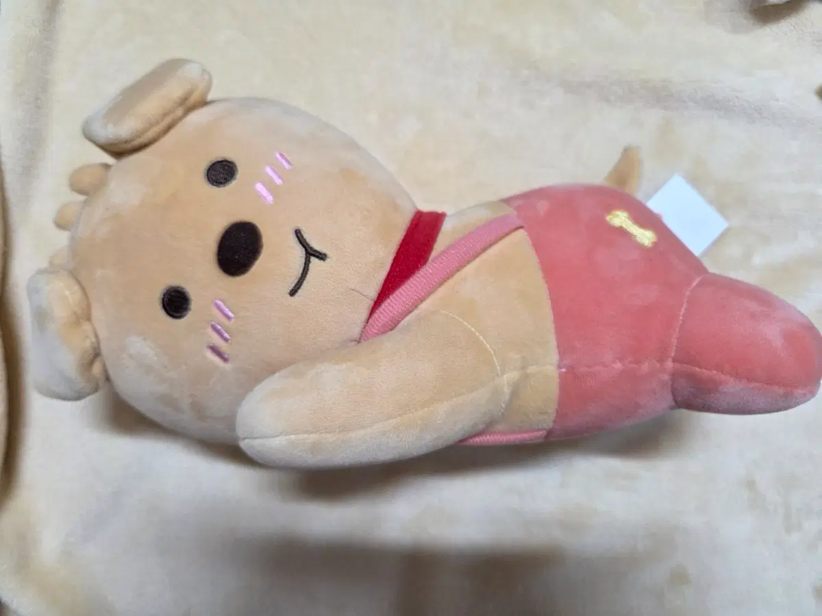 카카오프렌즈 빼꼼샤이베이비 프로도